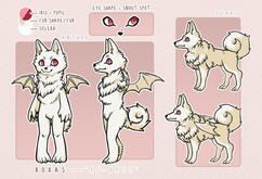 Character Sheet